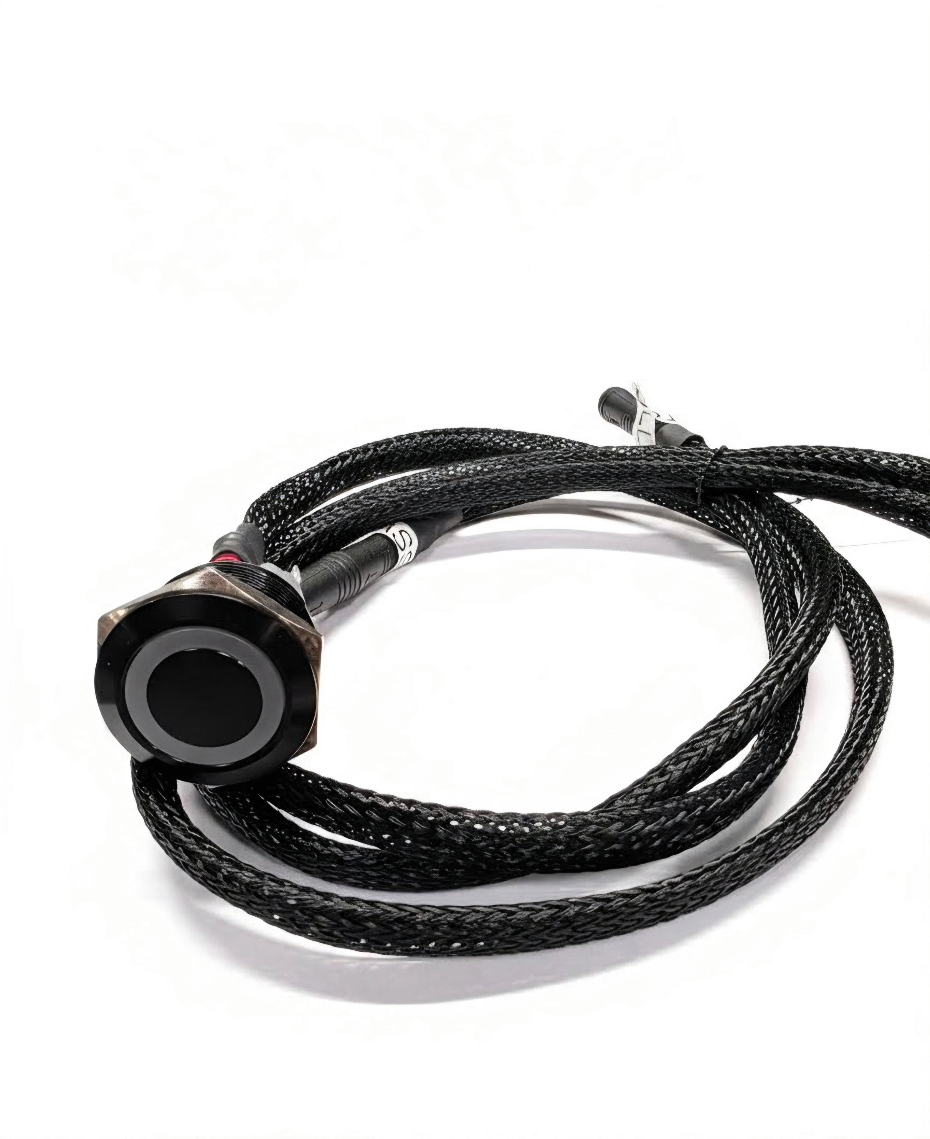 80v RCR Kill Switch and Alarm Bypass